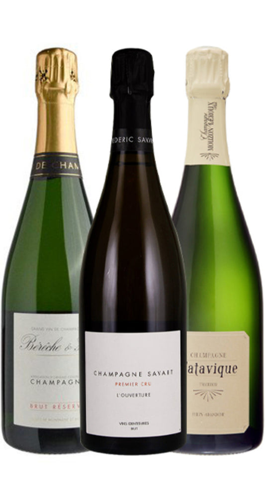 3 Grandi Champagne a Cavallo di Reims e la Vallée de la Marne (3bt)