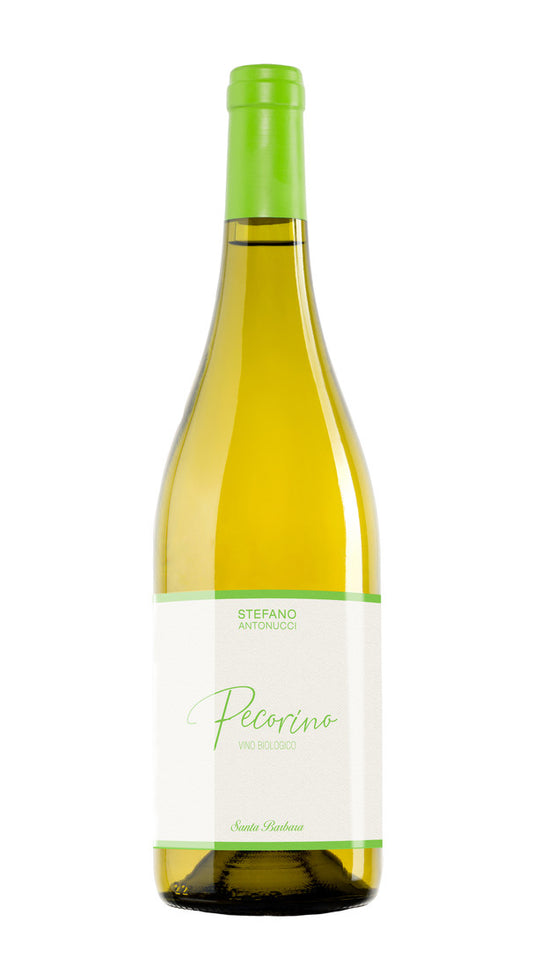 Pecorino Santa Barbara 2021